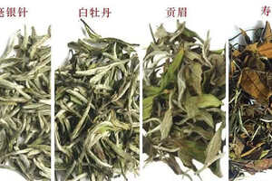 白茶的品种香（白茶中的花香种类是极多元的）
