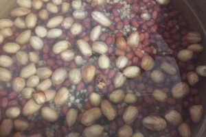 红豆薏米水排湿的表现_喝红豆薏米茶祛湿原理