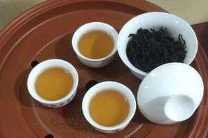 乌龙茶是什么茶叶泡的