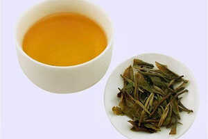 喝懂白茶的香味,才是白茶高手进阶的必备技能!