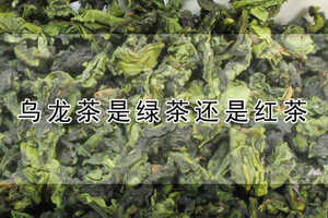 乌龙茶是绿茶还是红茶（乌龙茶属于什么茶红茶还是绿茶）