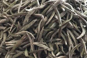 银针茶叶哪里产，银针茶叶的产地