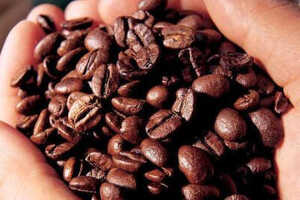 咖啡因是什么？咖啡因的作用与副作用