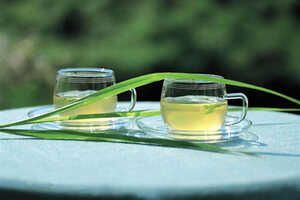 【茶功效】什么绿茶含茶多酚最多茶多酚的功效与作用