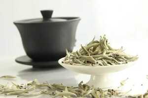 白茶属于什么茶红茶还是绿白茶是哪种茶类