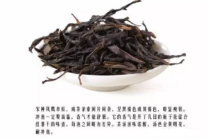 潮汕凤凰单枞是哪种茶