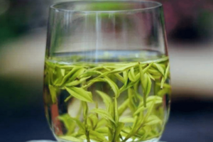 安吉白茶最好的产区在哪里？安吉白茶的产地及其品质介绍？