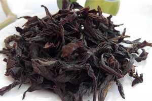 武夷岩茶茶树品种