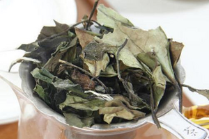 寿眉是白茶中最低端的品种？来看看寿眉的优势！