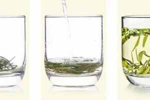安吉白茶是属于什么茶？是白茶还是绿茶？