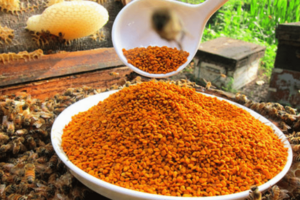 茶花粉多少钱一斤茶花粉的最新市场价格详情