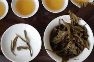 普洱茶的功效与作用和副作用