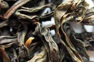 武夷岩茶是什么乌龙茶的代表