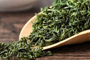 常见的绿茶种类有哪些