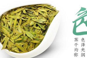 绿茶的种类排