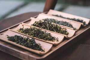 紫芽茶多少钱一斤