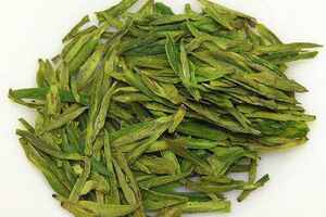 黄山毛峰茶树品种