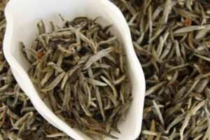 白茶的功效与作用白茶有哪些功效？