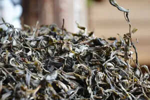 那卡古树茶的特点_那卡古树茶是哪个产区