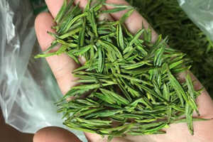 什么绿茶茶叶唇齿留香_哪个品种绿茶香气好？