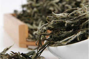 白茶好不好关键看原料,什么样的茶青才能做出高品质的白茶