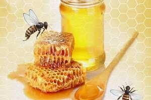 【收藏】蜂蜜绿茶究竟有哪些功效和作用呢?