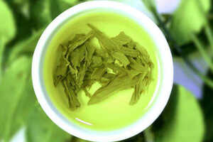 减肥绿茶推荐