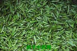 【茶功效】竹叶青绿茶的功效与作用竹叶青绿茶多少钱