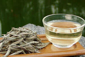 白茶的功效与作用白茶治疗麻疹预防癌症