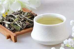 白茶的作用与功效有哪些？详解白茶的作用和功效