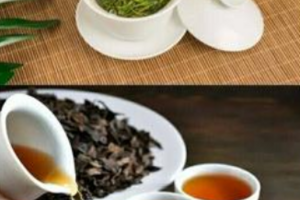 红茶绿茶怎么区分红茶和绿茶的区别