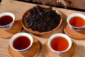 安化黑茶哪个品种最好
