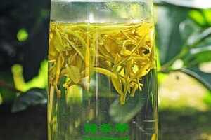 【茶功效】溧阳黄金茶的功效与作用溧阳黄金茶属于什么茶