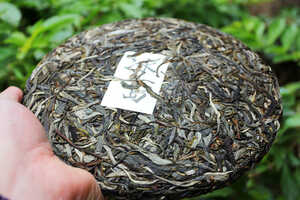 普洱茶保存是生的好还是熟的好