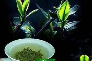 【茶功效】双井绿的功效与作用双井绿属于什么茶