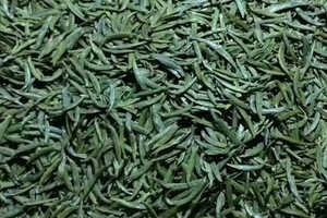 竹叶青属于什么茶？竹叶青是什么茶？