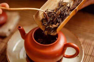 关于白茶的基础知识，想要入门，了解这些，就够了！