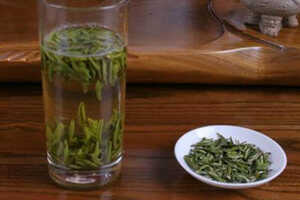 【茶功效】九香翠芽是什么茶九香翠芽的功效与作用
