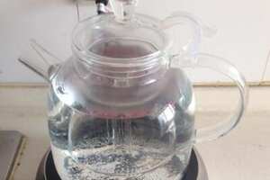 蒸茶器和煮茶器的区别_蒸汽煮茶的缺点