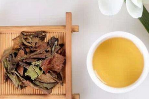 用什么茶具来煮寿眉老白茶更好喝？