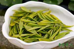 龙井茶属于什么茶类_龙井茶是什么茶树品种