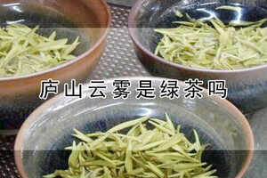 浙江绿茶图片