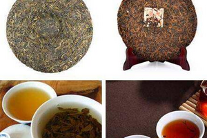 普洱生茶和普洱熟茶的区别在哪里？哪个更好？