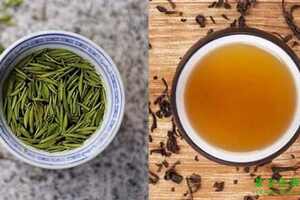 绿茶和红茶的区别都有哪些（绿茶和红茶的区别都有哪些功效）