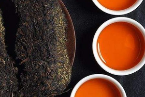 喝黑茶可以降低脂肪肝吗？（喝黑茶对脂肪肝有好处吗）