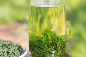 木鱼绿茶，神农架特产
