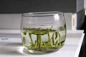 绿茶加重湿气_绿茶喝多了会湿气重吗？