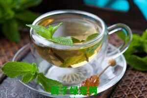 【茶功效】薄荷绿茶的功效与作用喝薄荷绿茶的好处