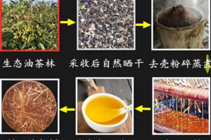 茶麸的六大功效和作用（茶麸洗发水的功效和作用）
