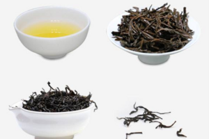 红茶如何做的详解红茶生产制造生产流程流程